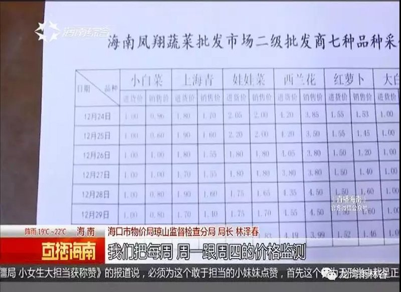 海口市沛珊商贸有限公司招聘：开启职业生涯新篇章