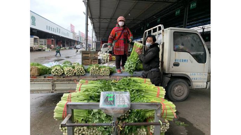海沛集团怎么样？这家企业在海口市场上风生水起，但你了解它的真实面貌吗？让我们一起深入探究。
