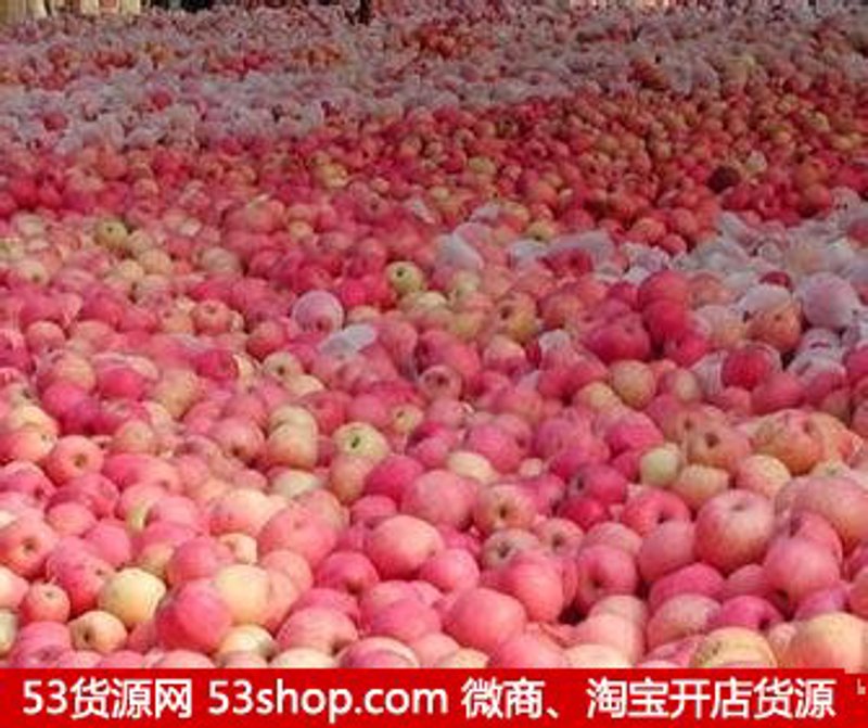 海沛集团怎么样？让我们一起深入了解这家企业的实力与潜力。